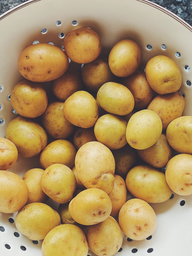 Processed with VSCO with f2 preset