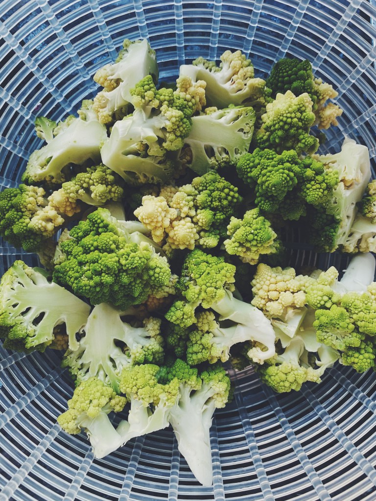 Processed with VSCO with f2 preset