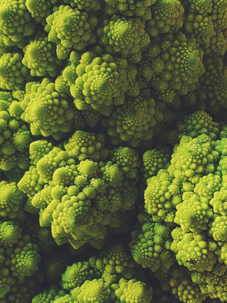 Processed with VSCO with f2 preset